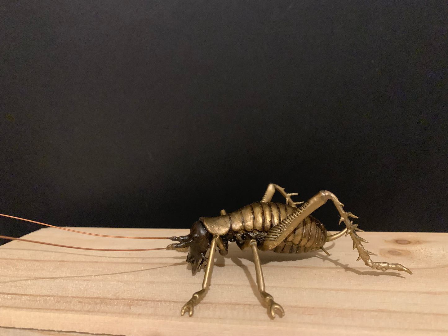 Bronze Sculpture - NZ Native Tree Weta - by Kenmore Auton