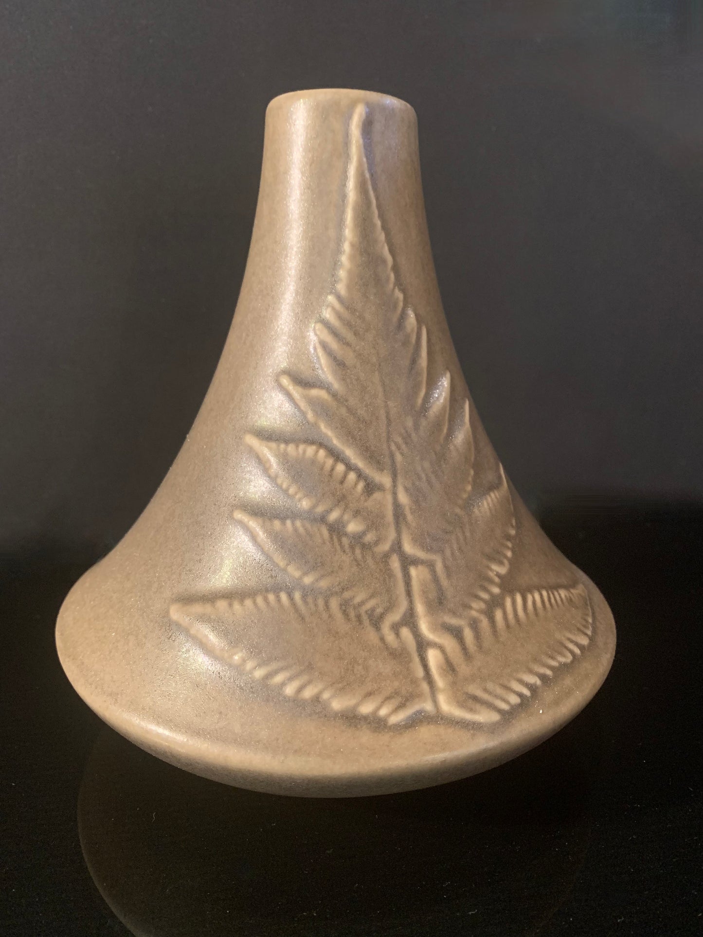 Ceramic Vase by Bob Steiner - Silver Fern Design