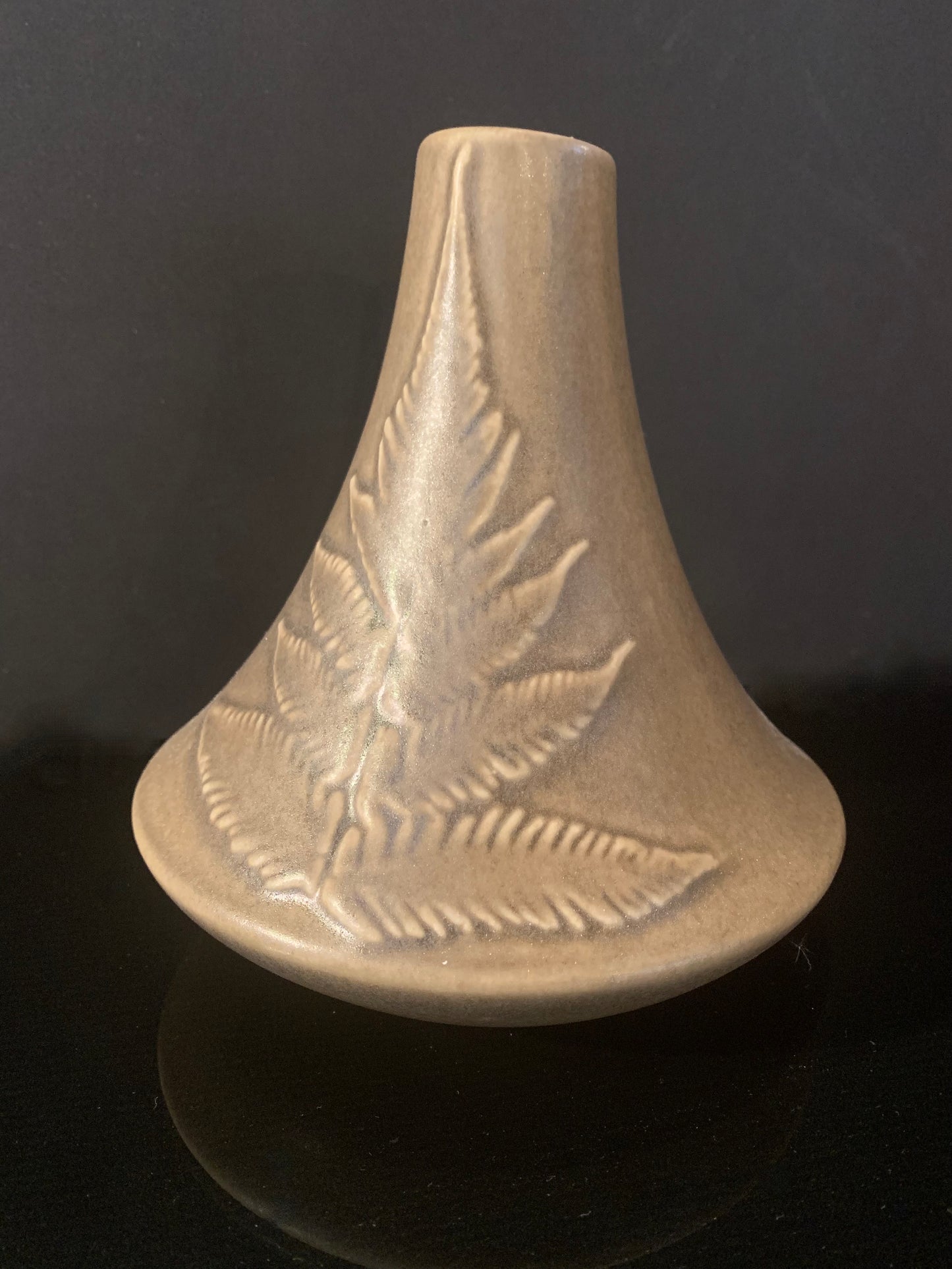 Ceramic Vase by Bob Steiner - Silver Fern Design