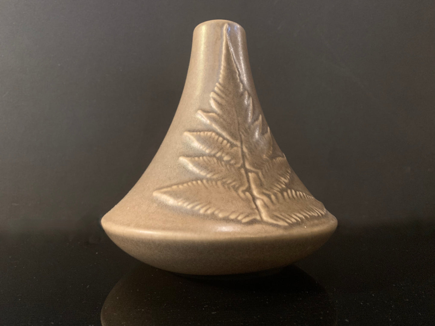 Ceramic Vase by Bob Steiner - Silver Fern Design