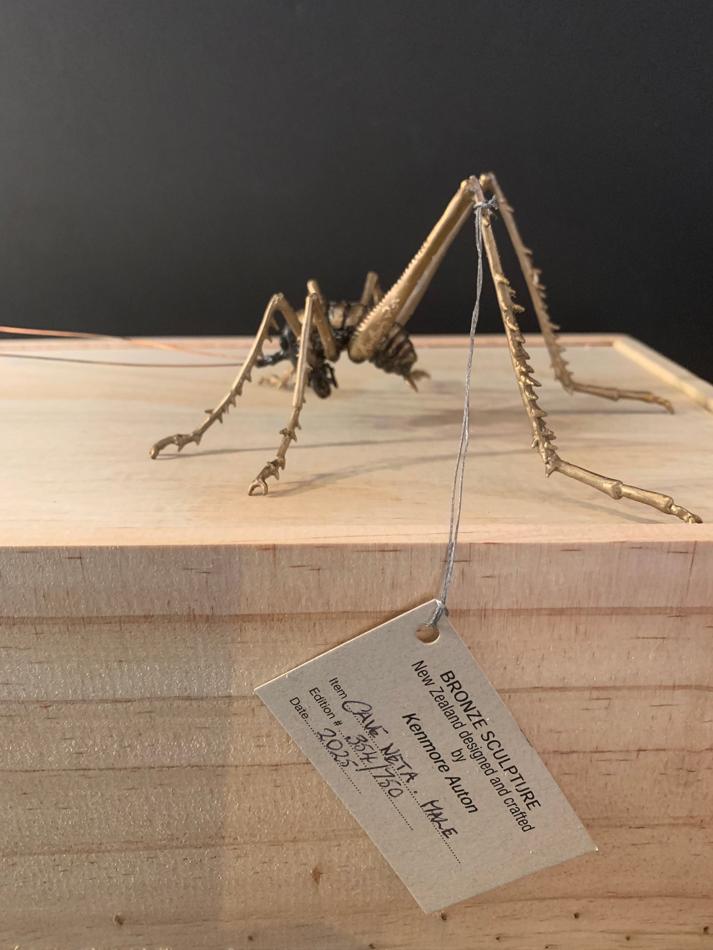 Bronze Sculpture - NZ Native Cave Weta - by Kenmore Auton