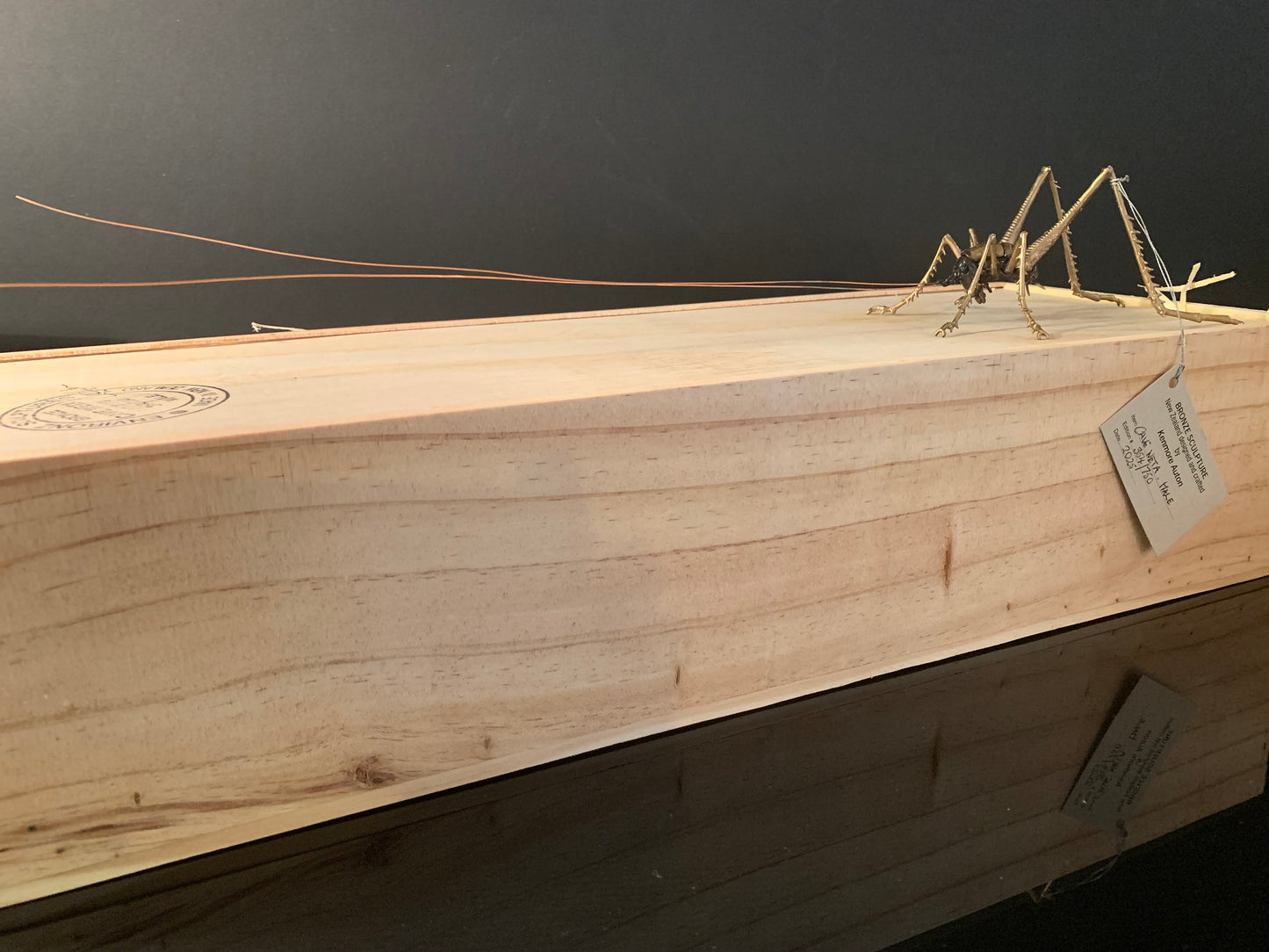 Bronze Sculpture - NZ Native Cave Weta - by Kenmore Auton