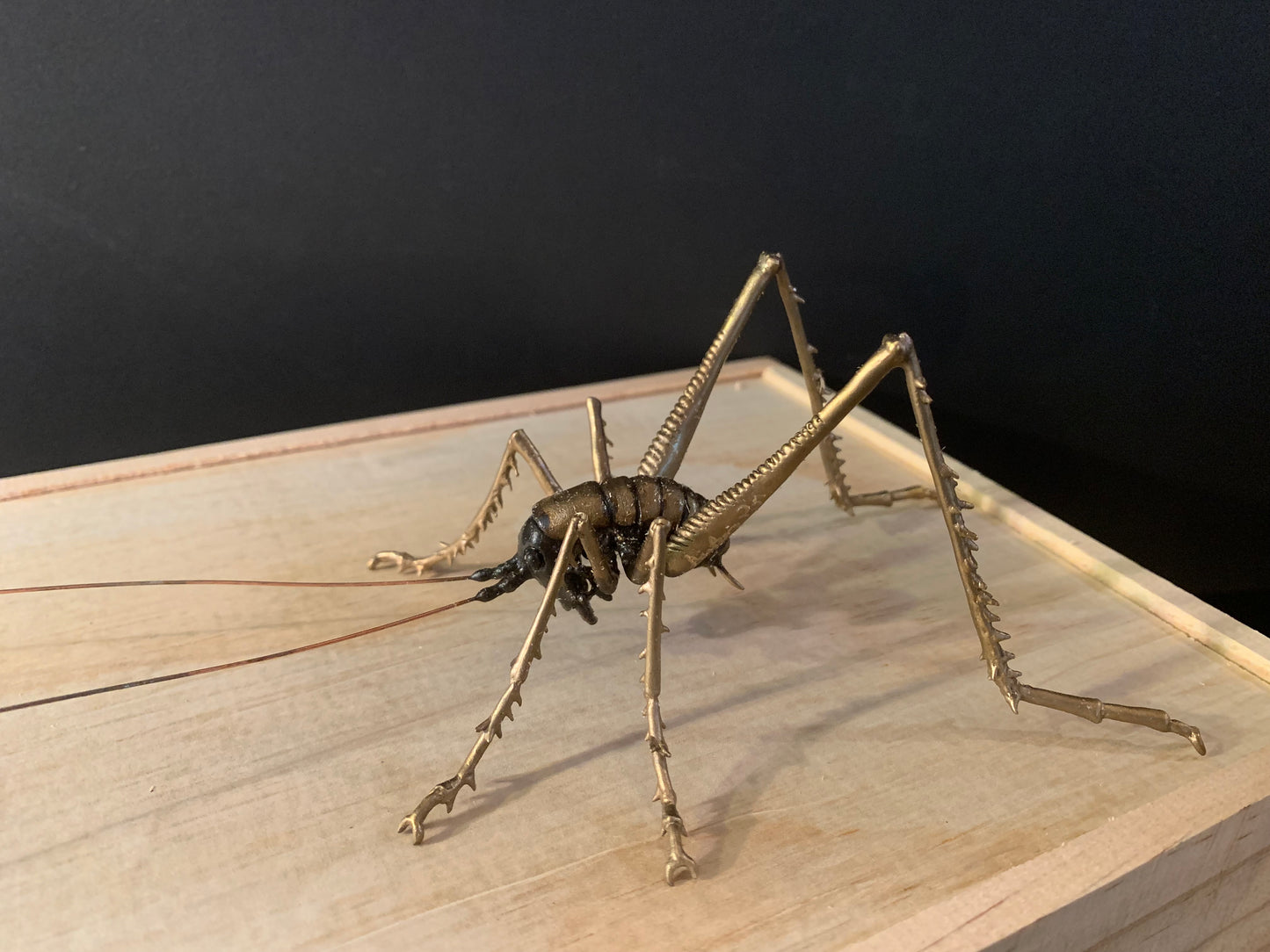 Bronze Sculpture - NZ Native Cave Weta - by Kenmore Auton