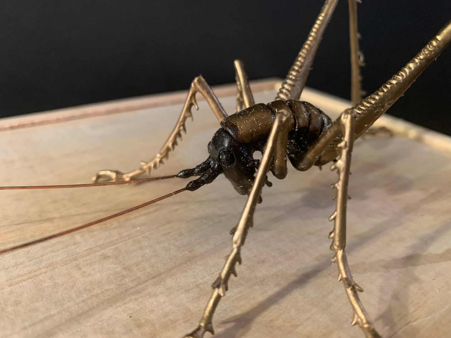 Bronze Sculpture - NZ Native Cave Weta - by Kenmore Auton