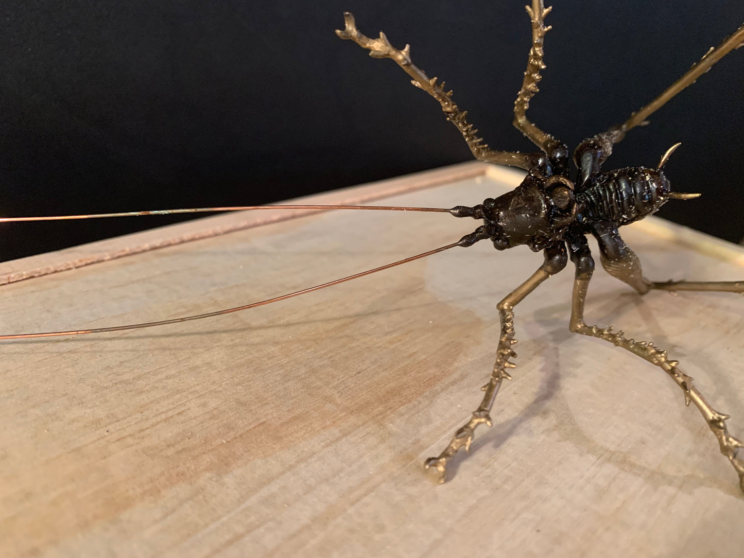 Bronze Sculpture - NZ Native Cave Weta - by Kenmore Auton