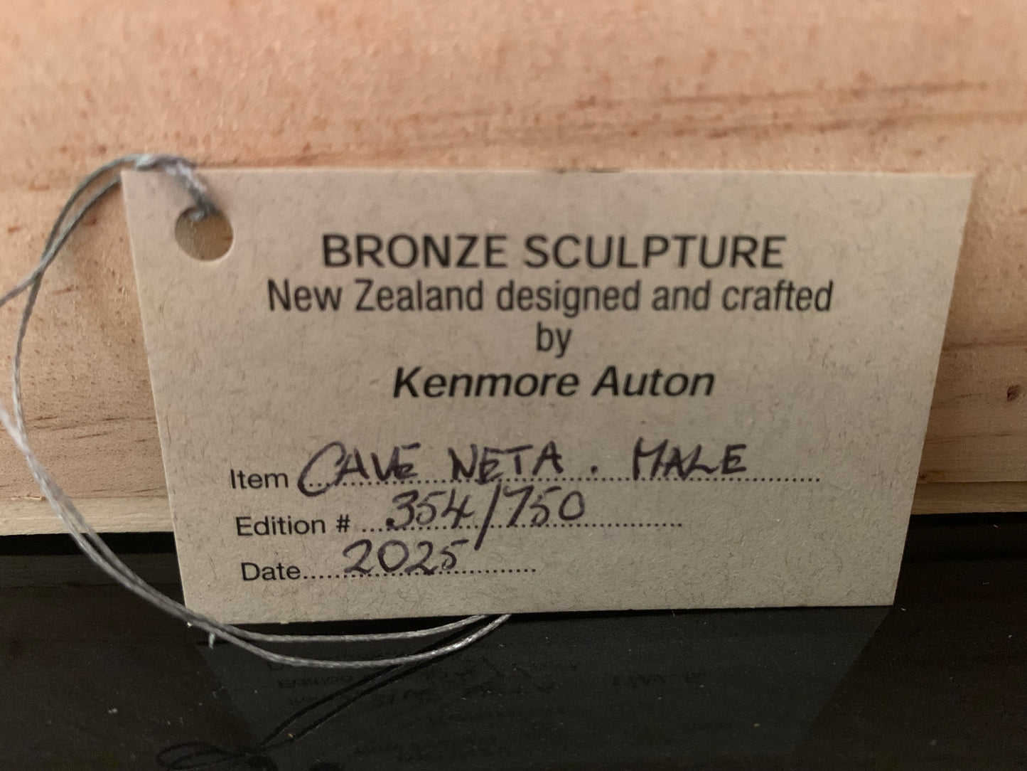 Bronze Sculpture - NZ Native Cave Weta - by Kenmore Auton