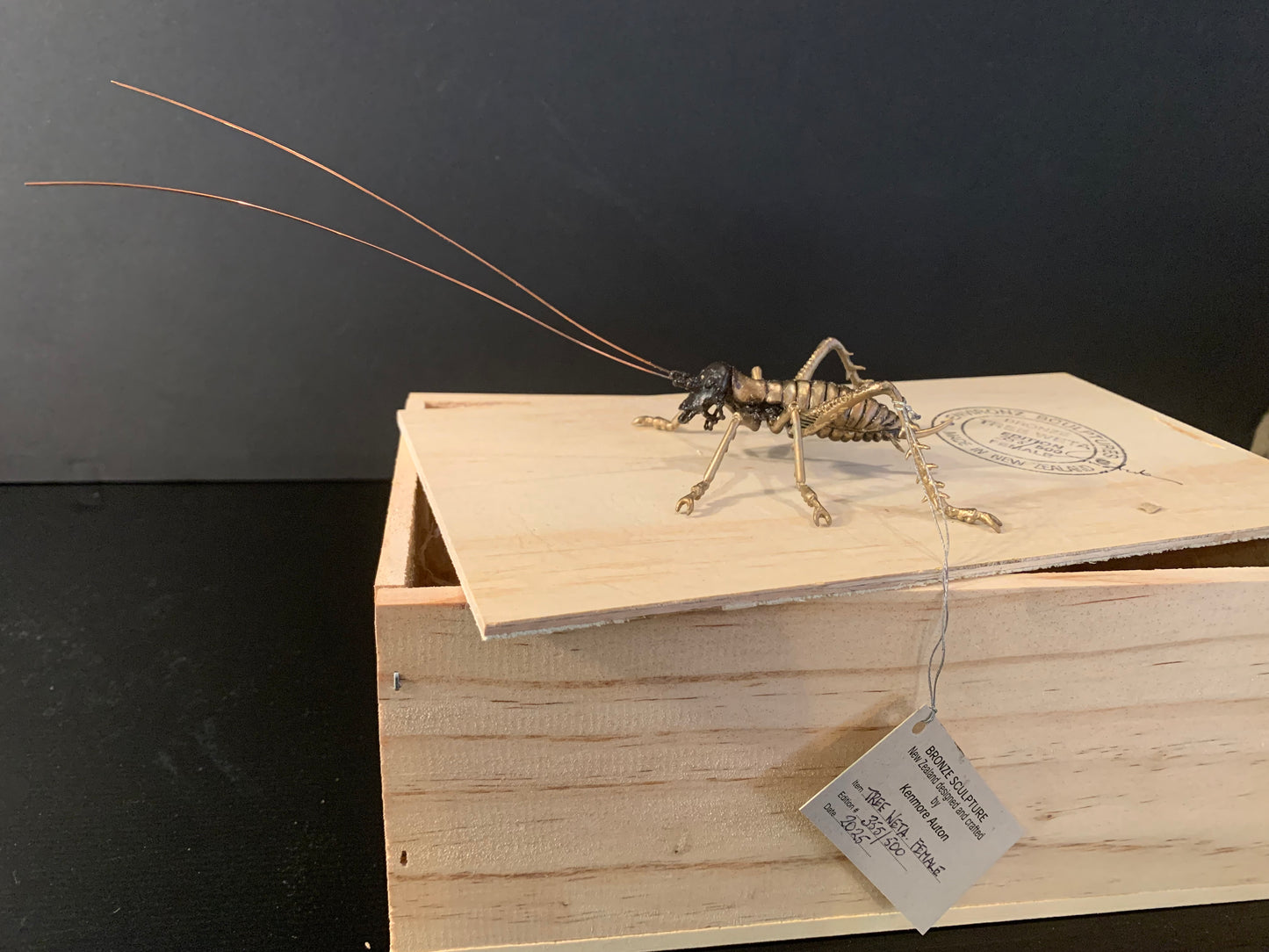 Bronze Sculpture - NZ Native Tree Weta - by Kenmore Auton