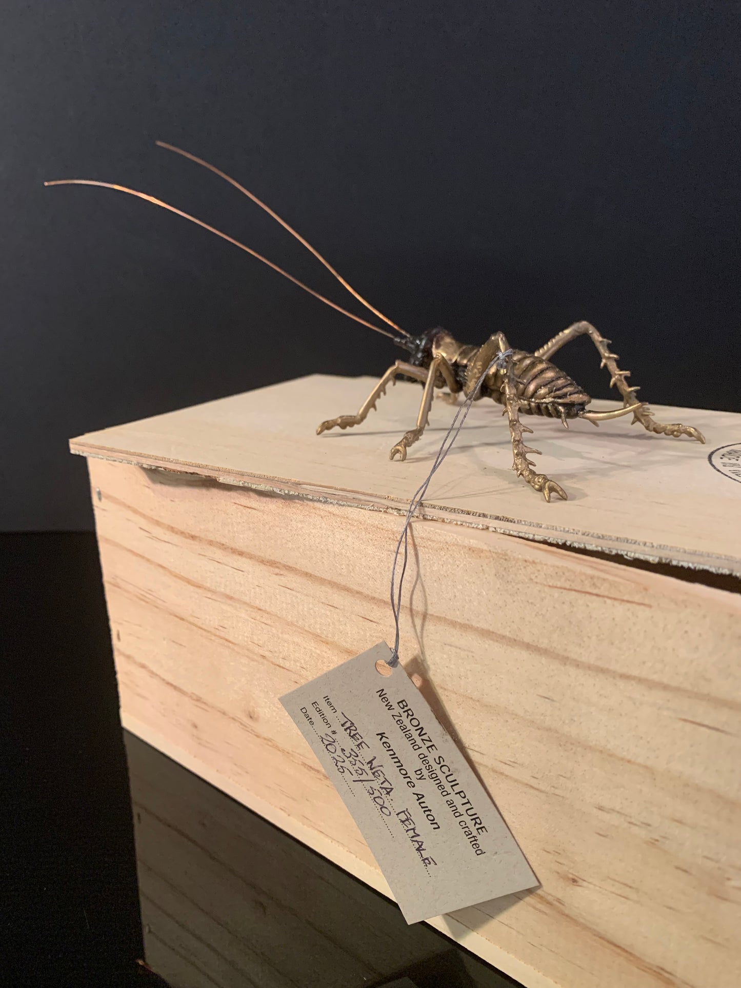 Bronze Sculpture - NZ Native Tree Weta - by Kenmore Auton