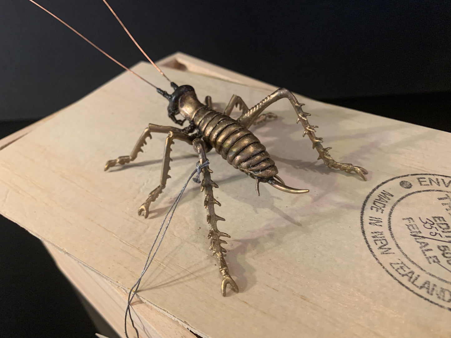 Bronze Sculpture - NZ Native Tree Weta - by Kenmore Auton