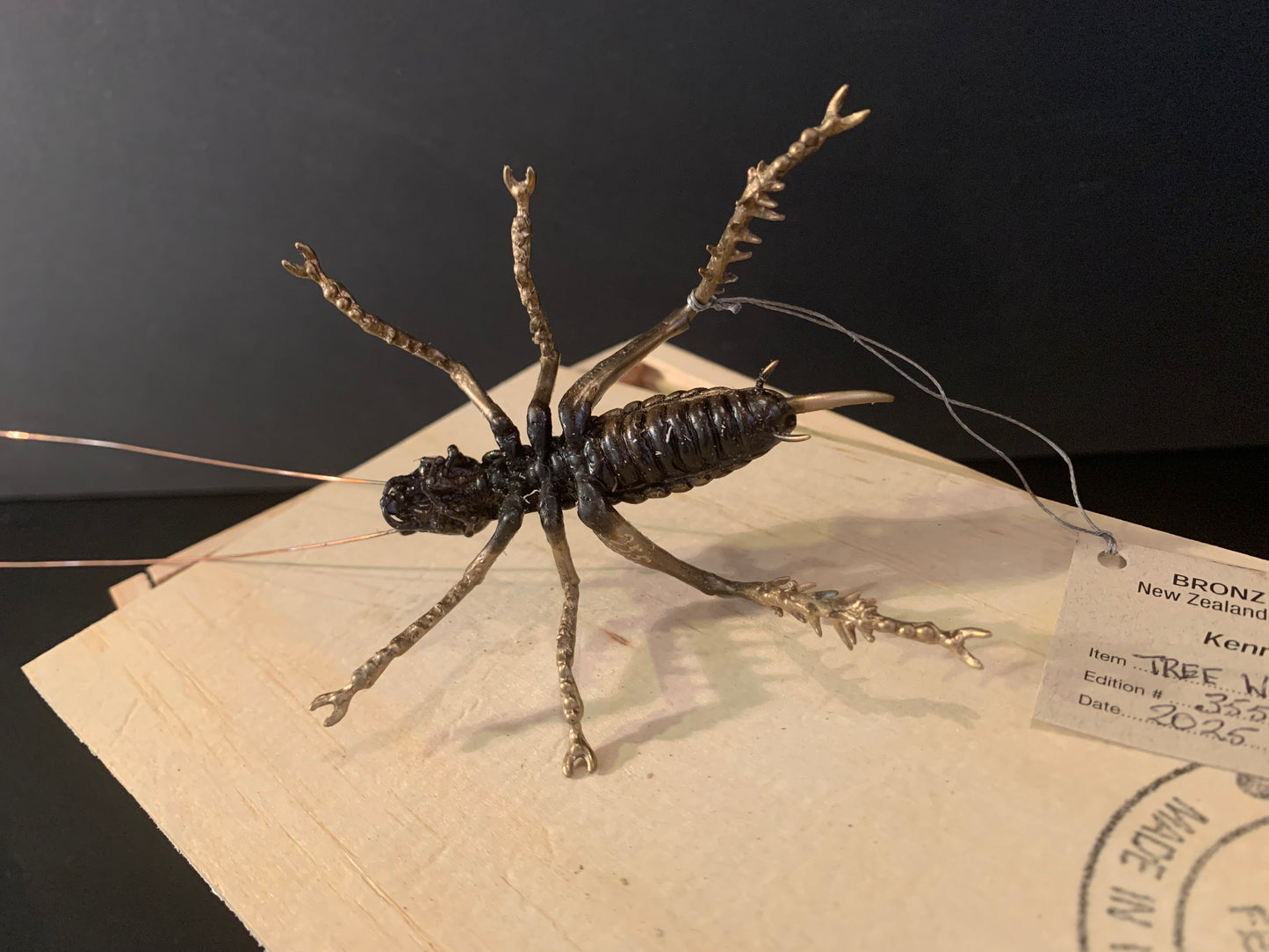 Bronze Sculpture - NZ Native Tree Weta - by Kenmore Auton