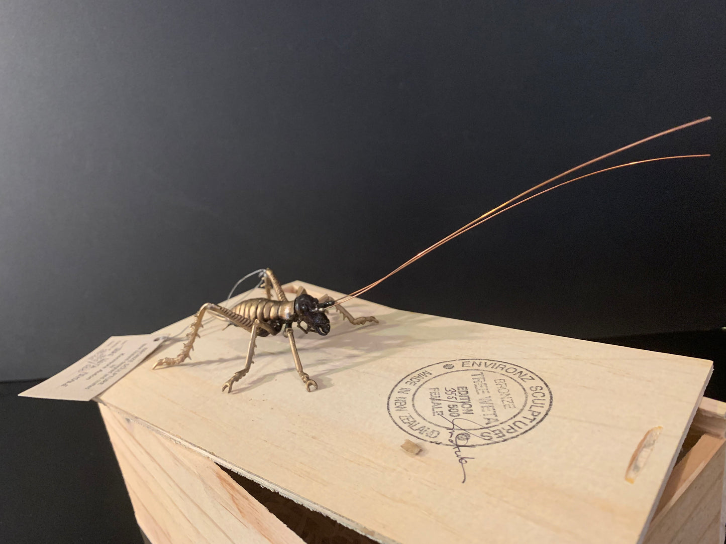 Bronze Sculpture - NZ Native Tree Weta - by Kenmore Auton