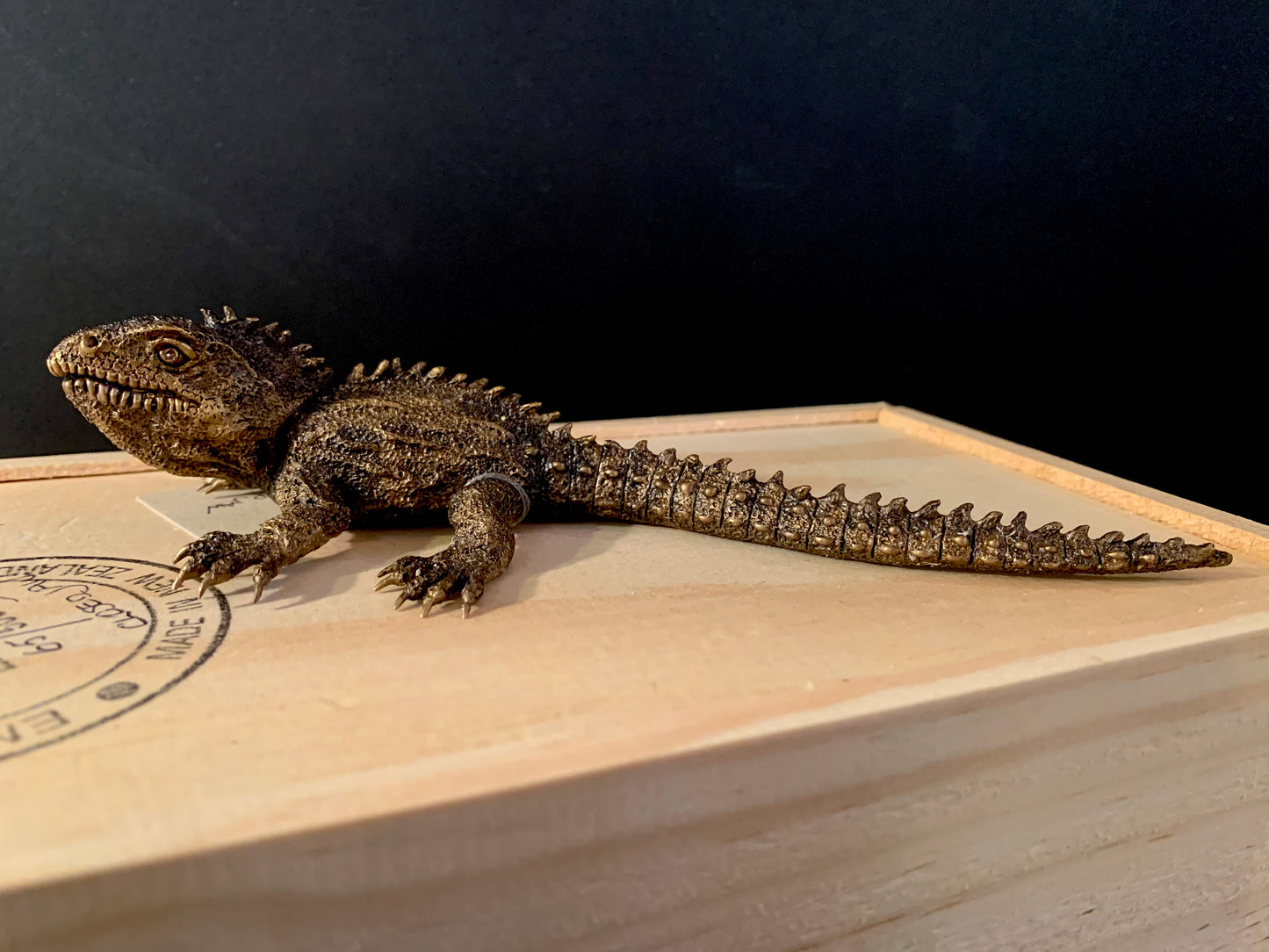 Bronze Sculpture - NZ Native Tuatara (mouth closed) - by Kenmore Auton