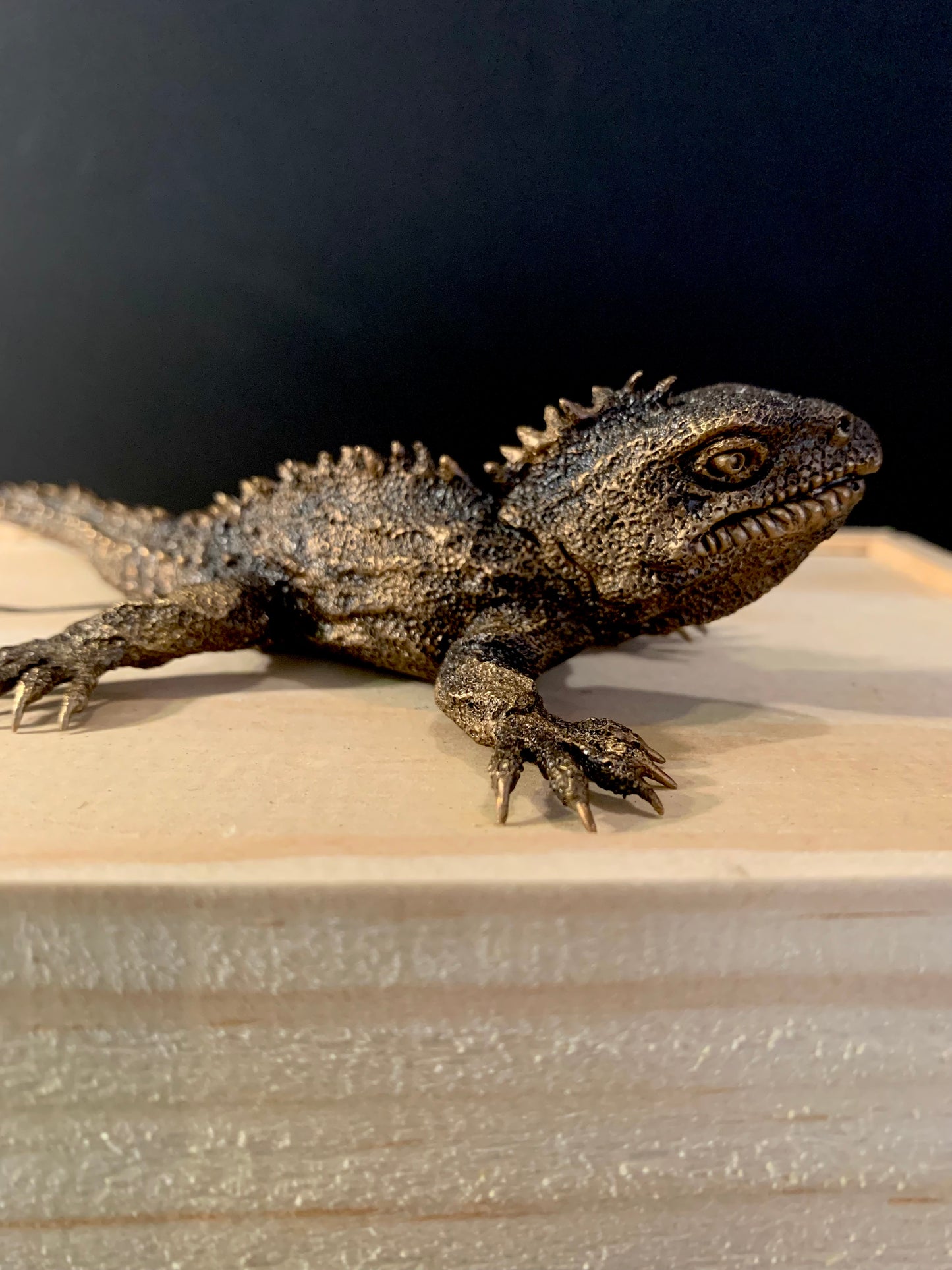 Bronze Sculpture - NZ Native Tuatara (mouth closed) - by Kenmore Auton