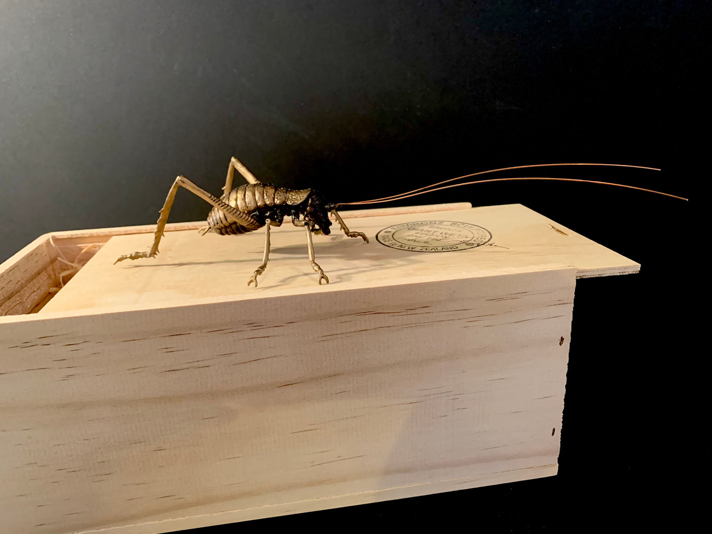 Bronze Sculpture - NZ Native Giant Weta - by Kenmore Auton