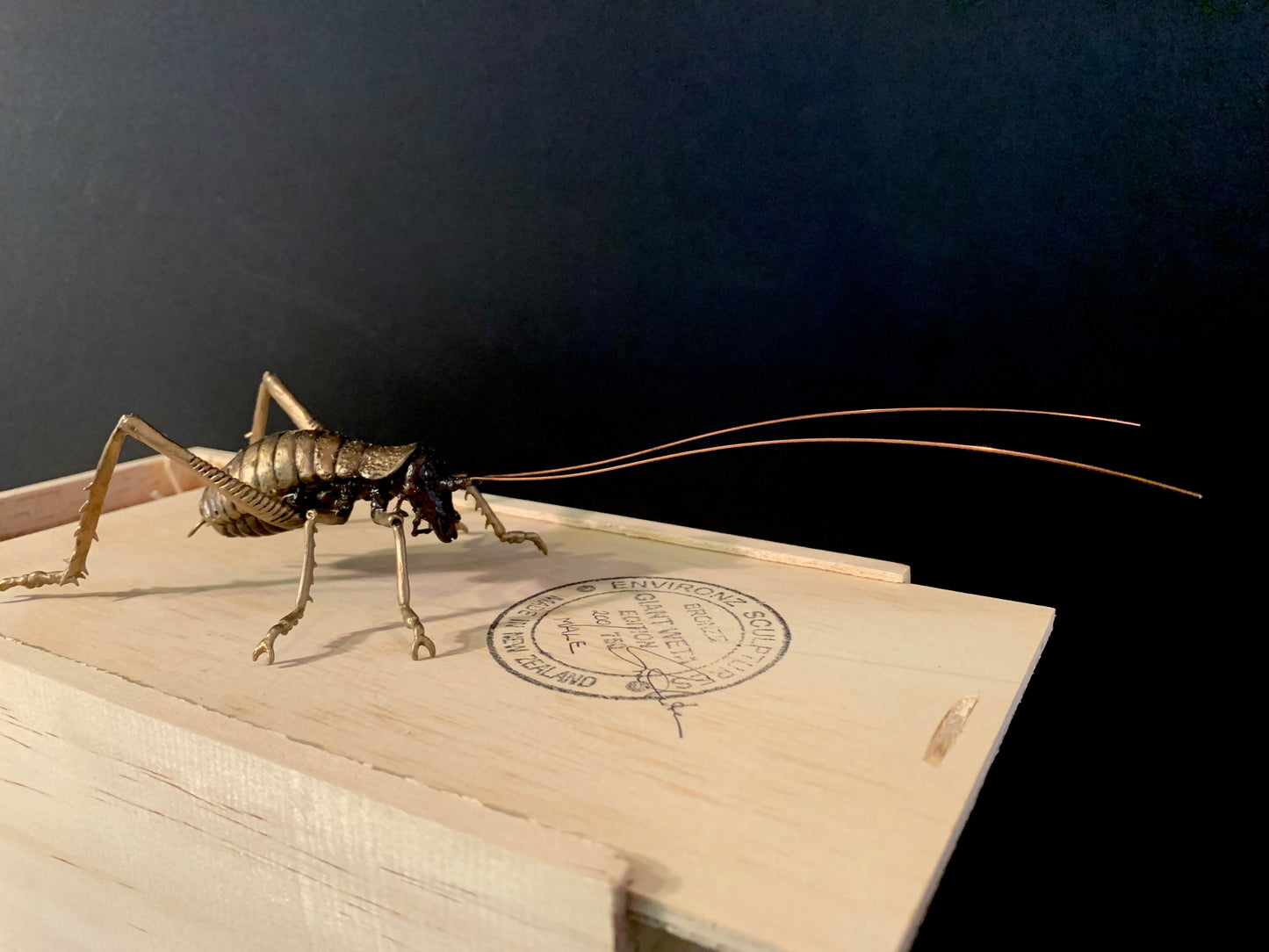 Bronze Sculpture - NZ Native Giant Weta - by Kenmore Auton