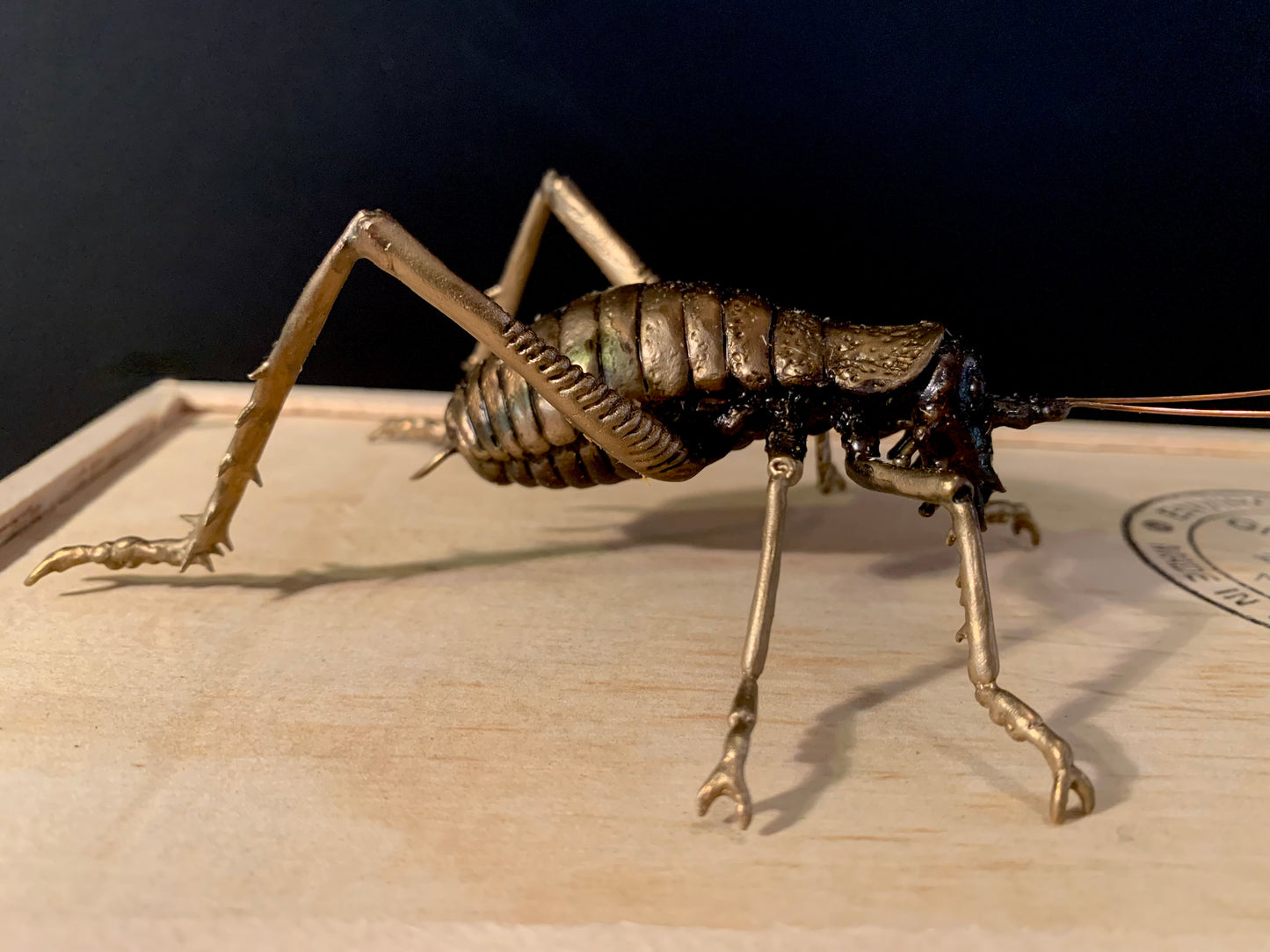 Bronze Sculpture - NZ Native Giant Weta - by Kenmore Auton