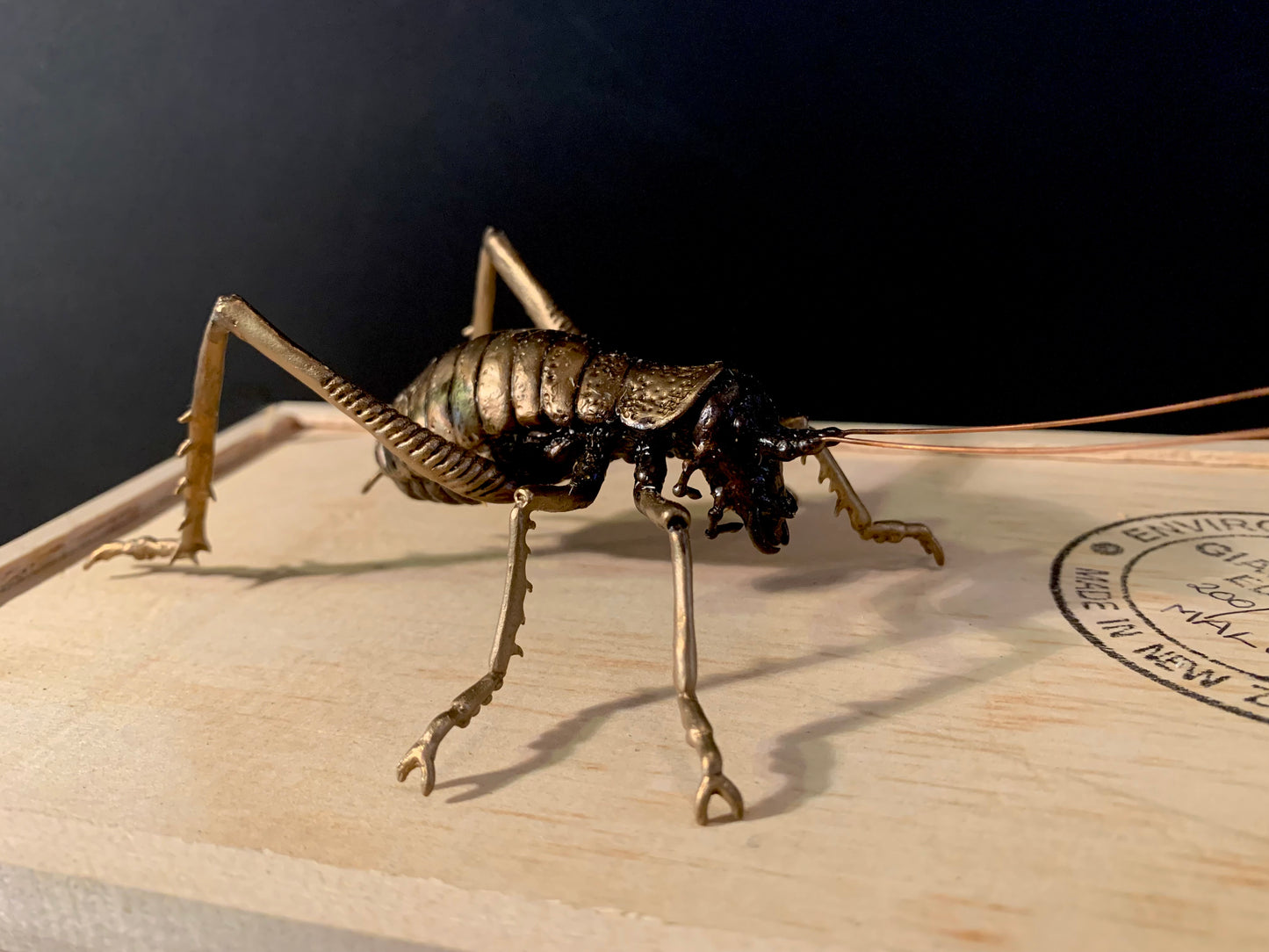 Bronze Sculpture - NZ Native Giant Weta - by Kenmore Auton