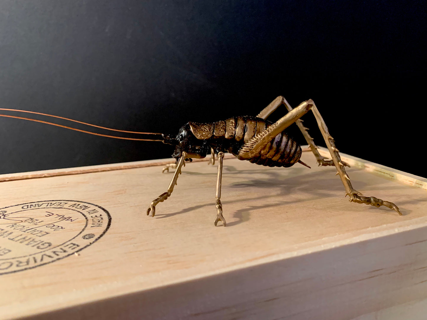 Bronze Sculpture - NZ Native Giant Weta - by Kenmore Auton