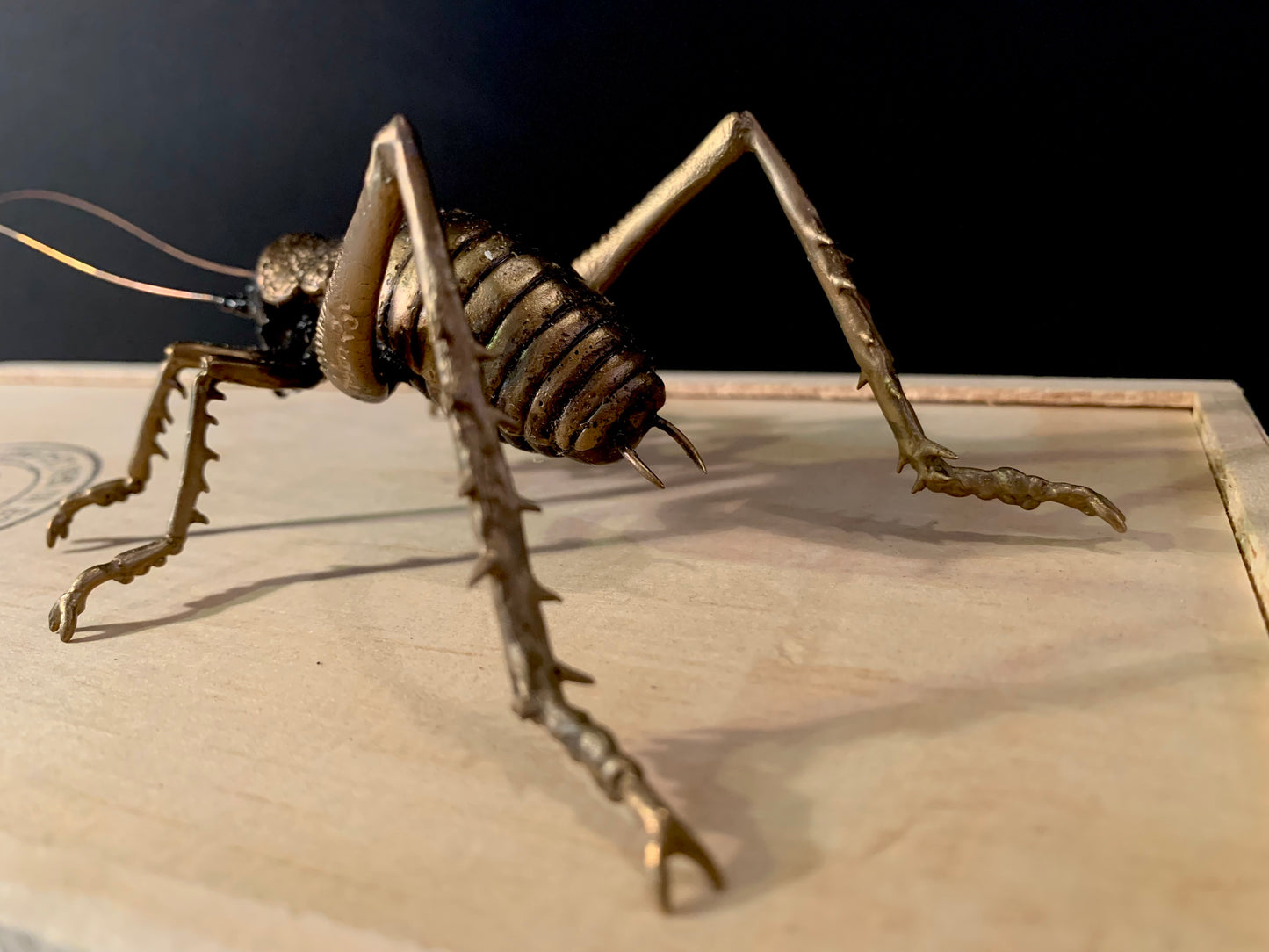 Bronze Sculpture - NZ Native Giant Weta - by Kenmore Auton
