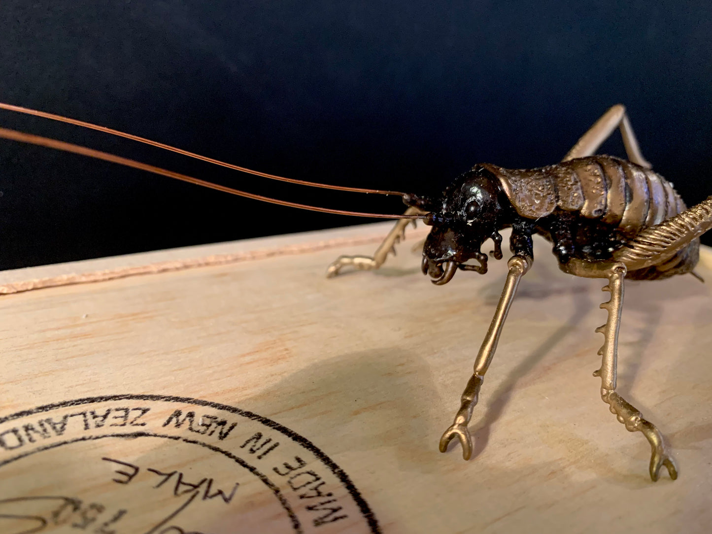Bronze Sculpture - NZ Native Giant Weta - by Kenmore Auton