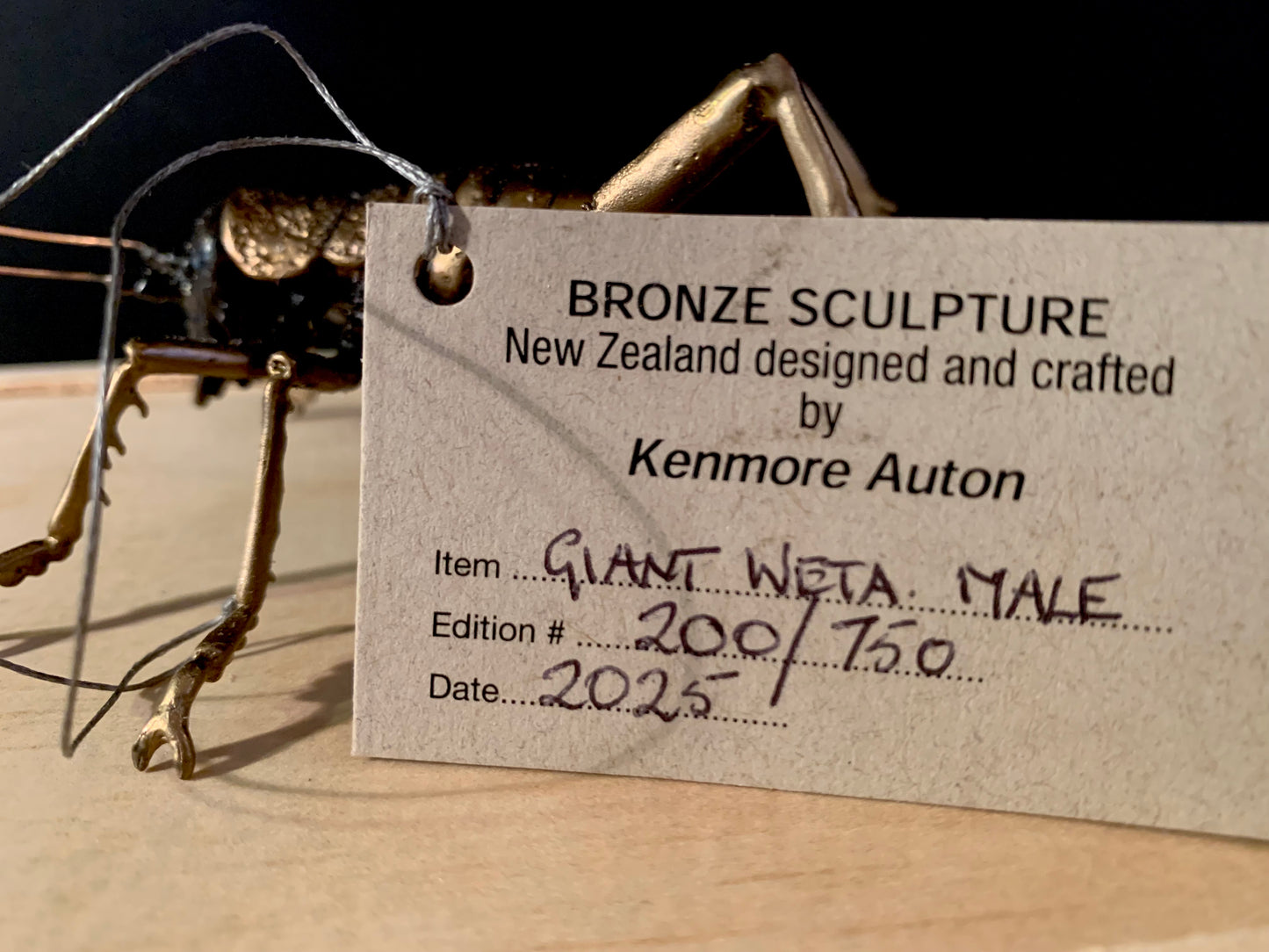 Bronze Sculpture - NZ Native Giant Weta - by Kenmore Auton