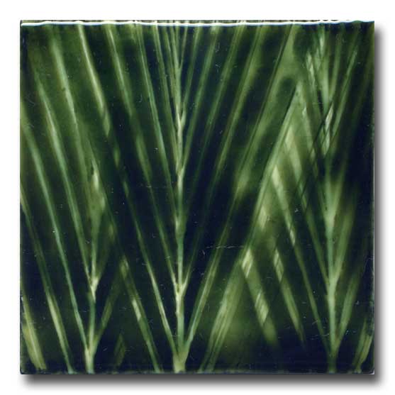 Ceramic Tile by Porteous Tiles of New Zealand Silver Fern Gallery