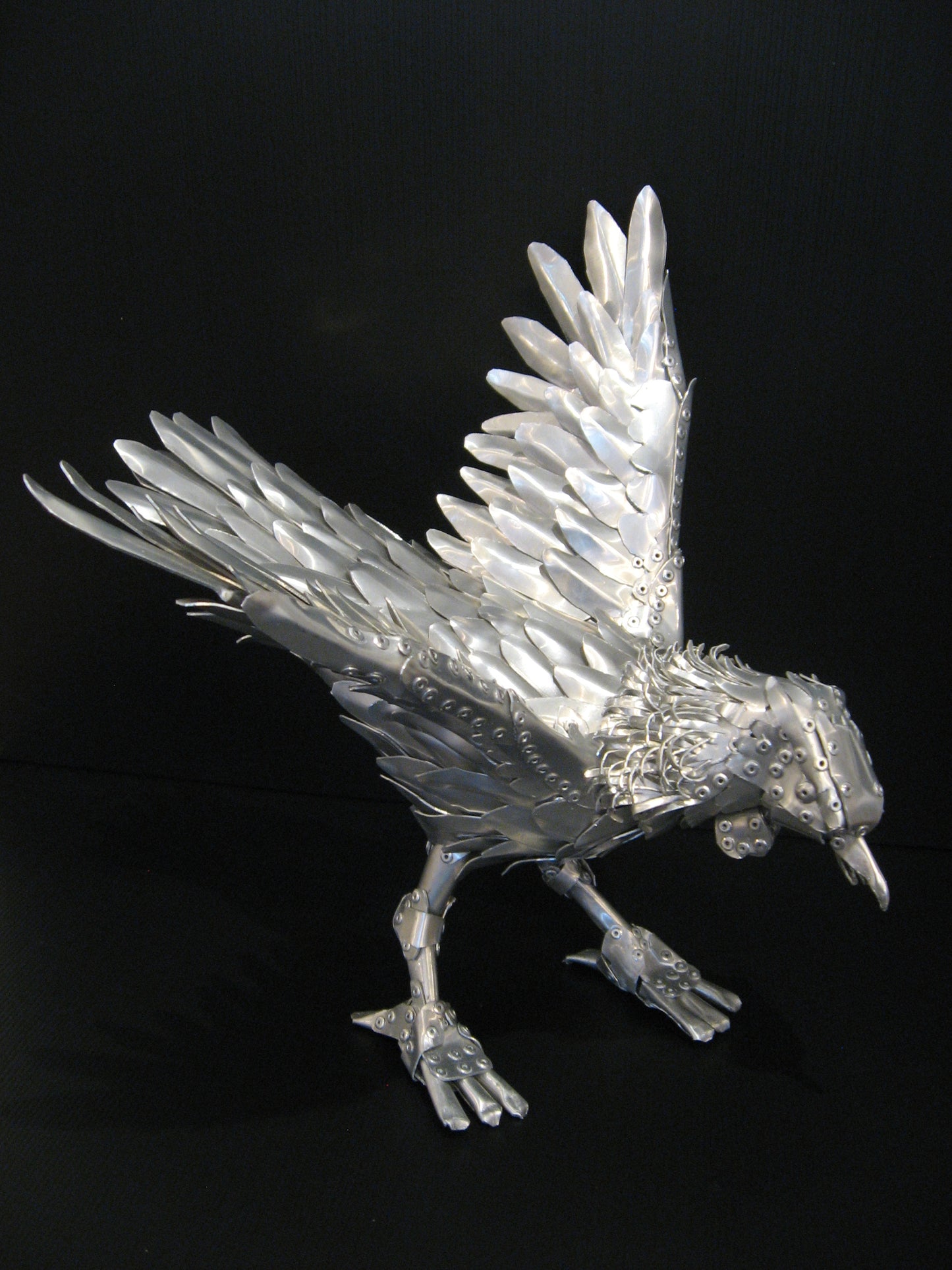 Aluminium  New Zealand Tui Bird Sculpture by Harley Moore Silver Fern Gallery