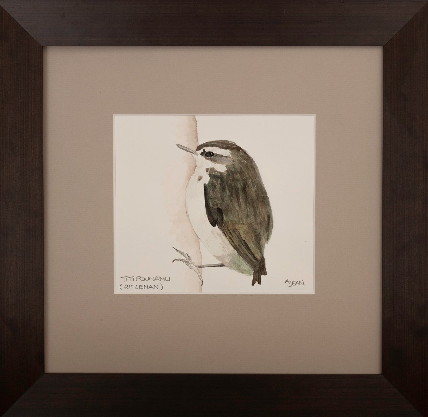 Watercolour Painting by artist Avril Jean New Zealand Titipounamu Rifleman Bird Silver Fern Gallery