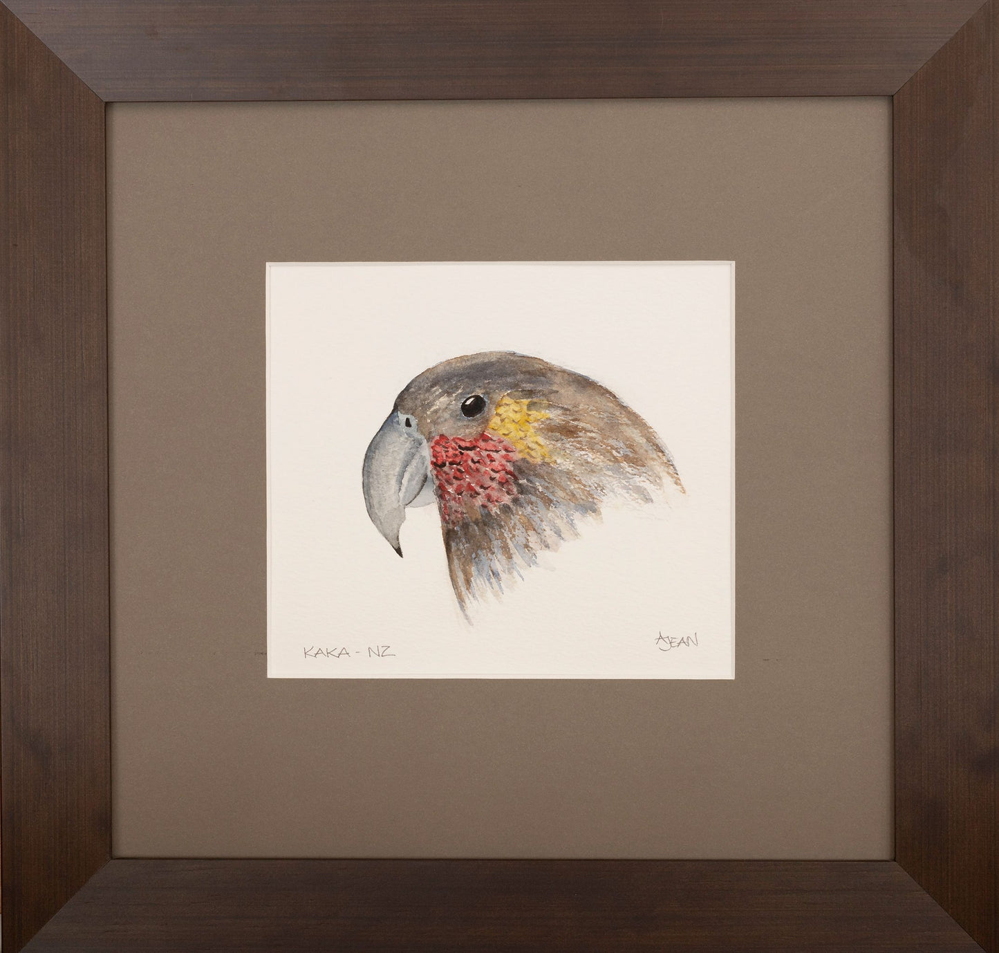 Watercolour Painting by artist Avril Jean New Zealand Kaka Bird Silver Fern Gallery