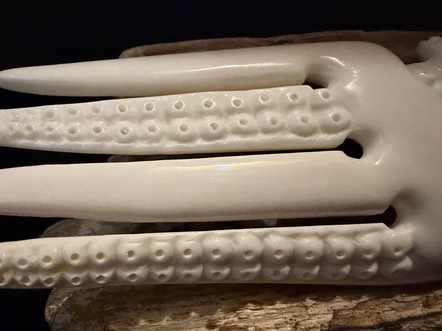 Carved Octopus Bone Heru by Alex Sands
