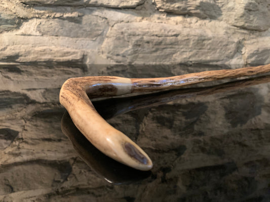 NZ deer antler and paua shell handle on lancewood walking stick.