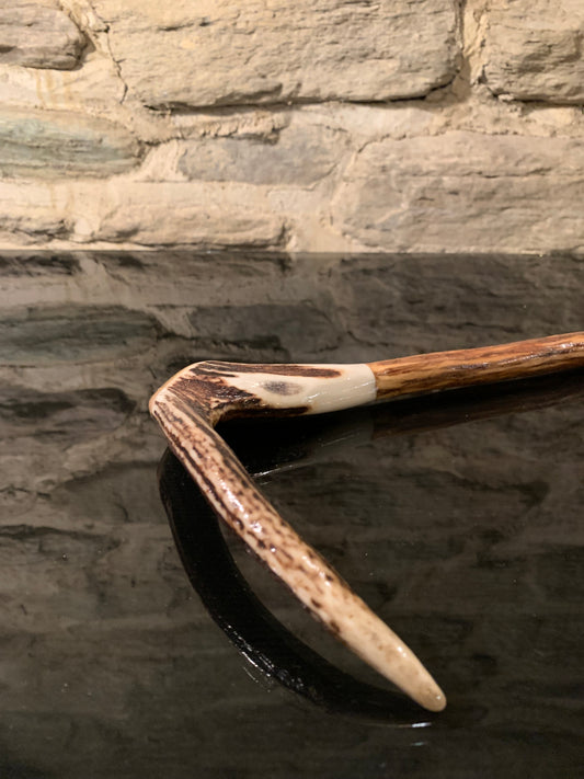 Handle of a walking stick made from deer antler and lancewood