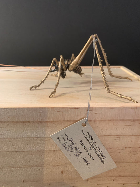 Bronze Sculpture - NZ Native Cave Weta - by Kenmore Auton