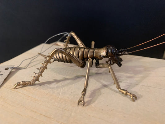 Bronze Sculpture - NZ Native Tree Weta - by Kenmore Auton