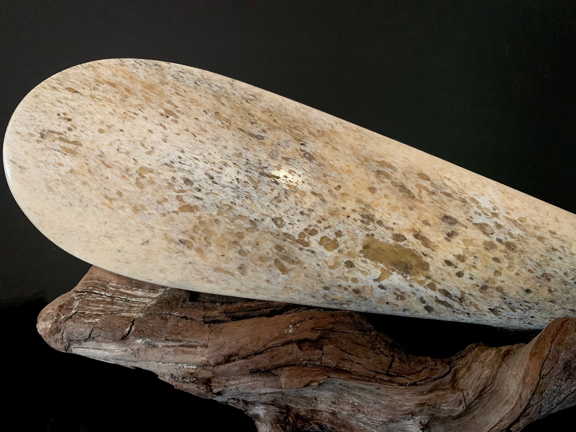 close up showing detail of maori patu made from whalebone 