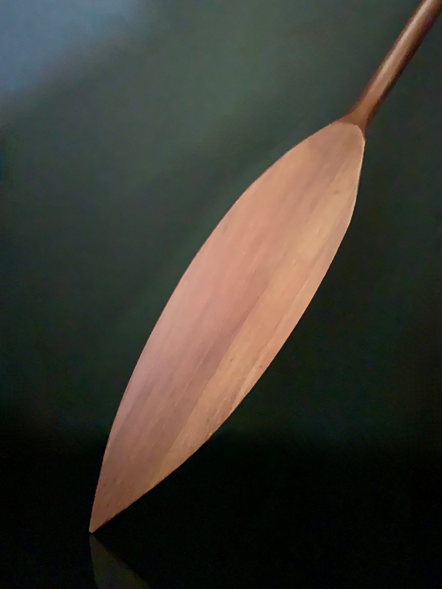 Carved Waka Hoe (Canoe Paddle) by Wood Masters