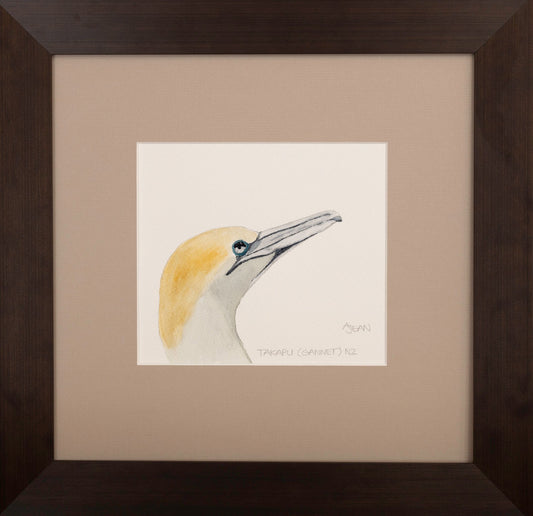 Watercolour Painting by artist Avril Jean New Zealand Takapu Gannet Bird Silver Fern Gallery