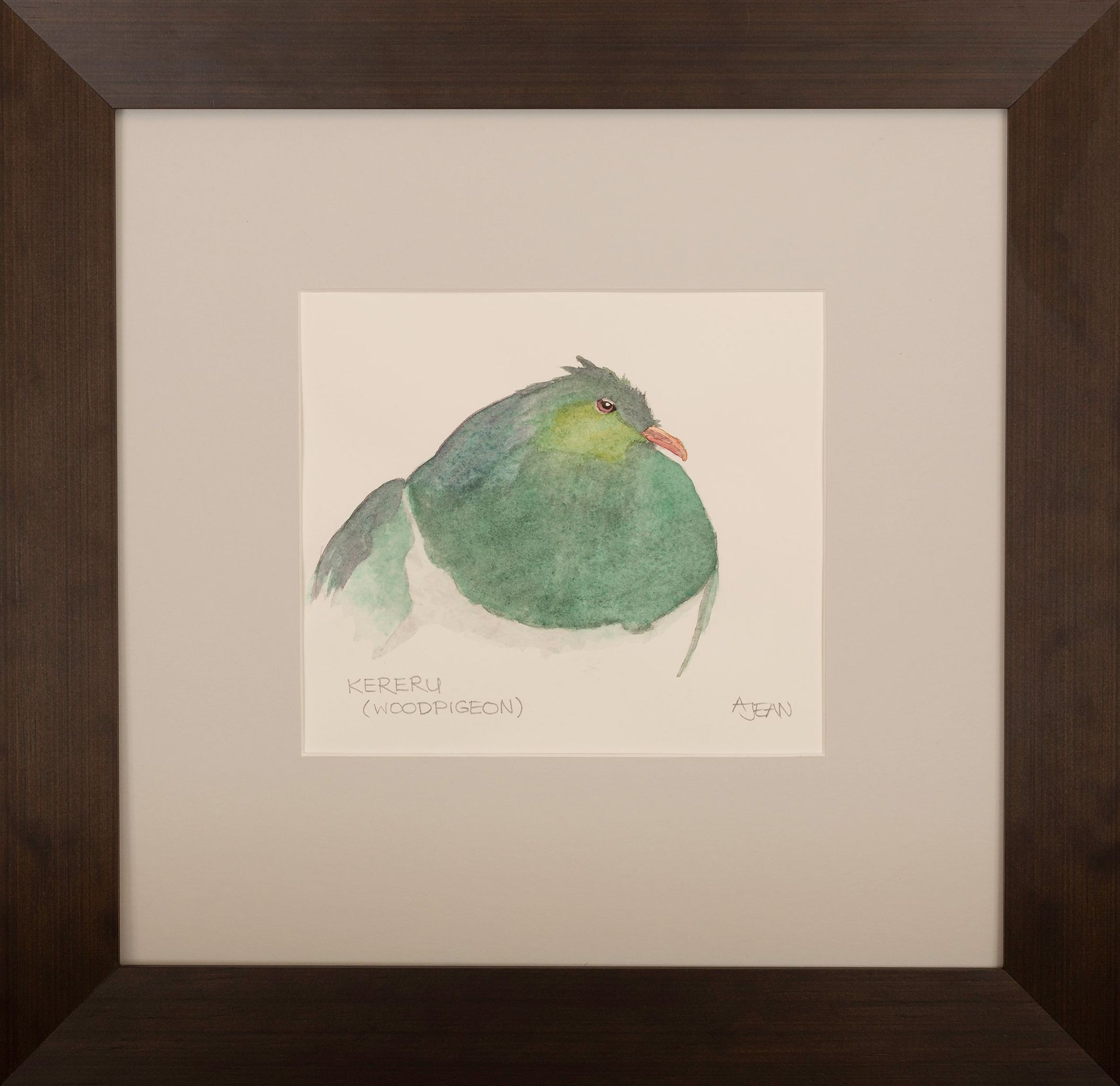 Watercolour Painting by Avril Jean New Zealand Kereru Woodpigeon Bird Silver Fern Gallery
