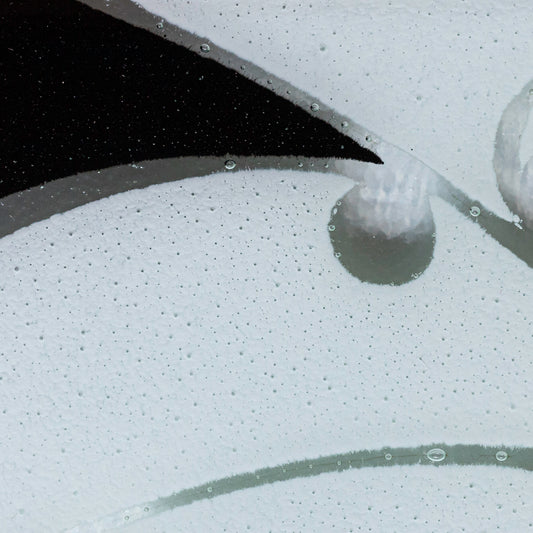 Detail of Fused Glass Bowl by Maori Boy Glassware Kawakawa Design (black and white) Silver Fern Gallery
