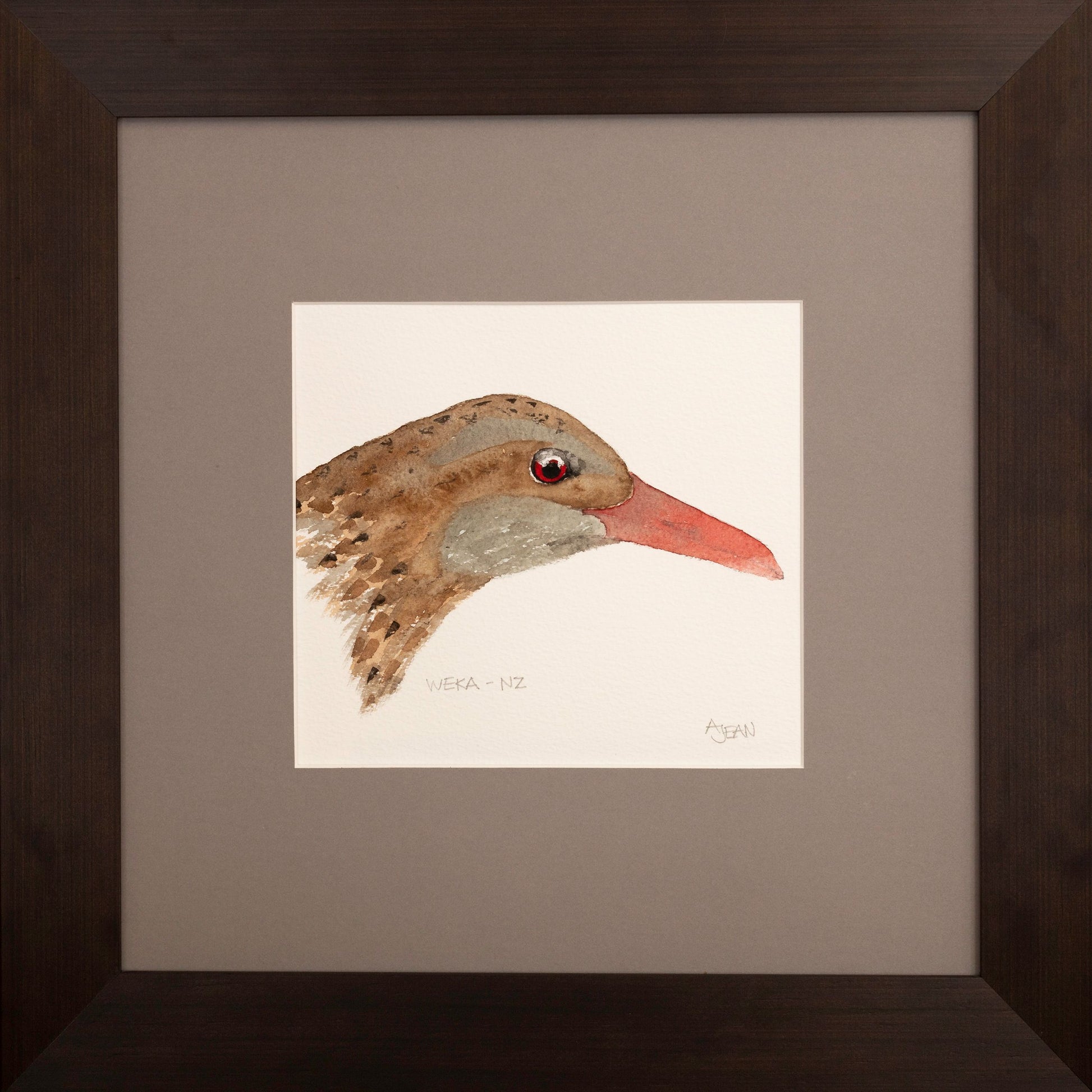 Watercolour Painting Weka Royal Albatross by artist Avril Jean Silver Fern Gallery