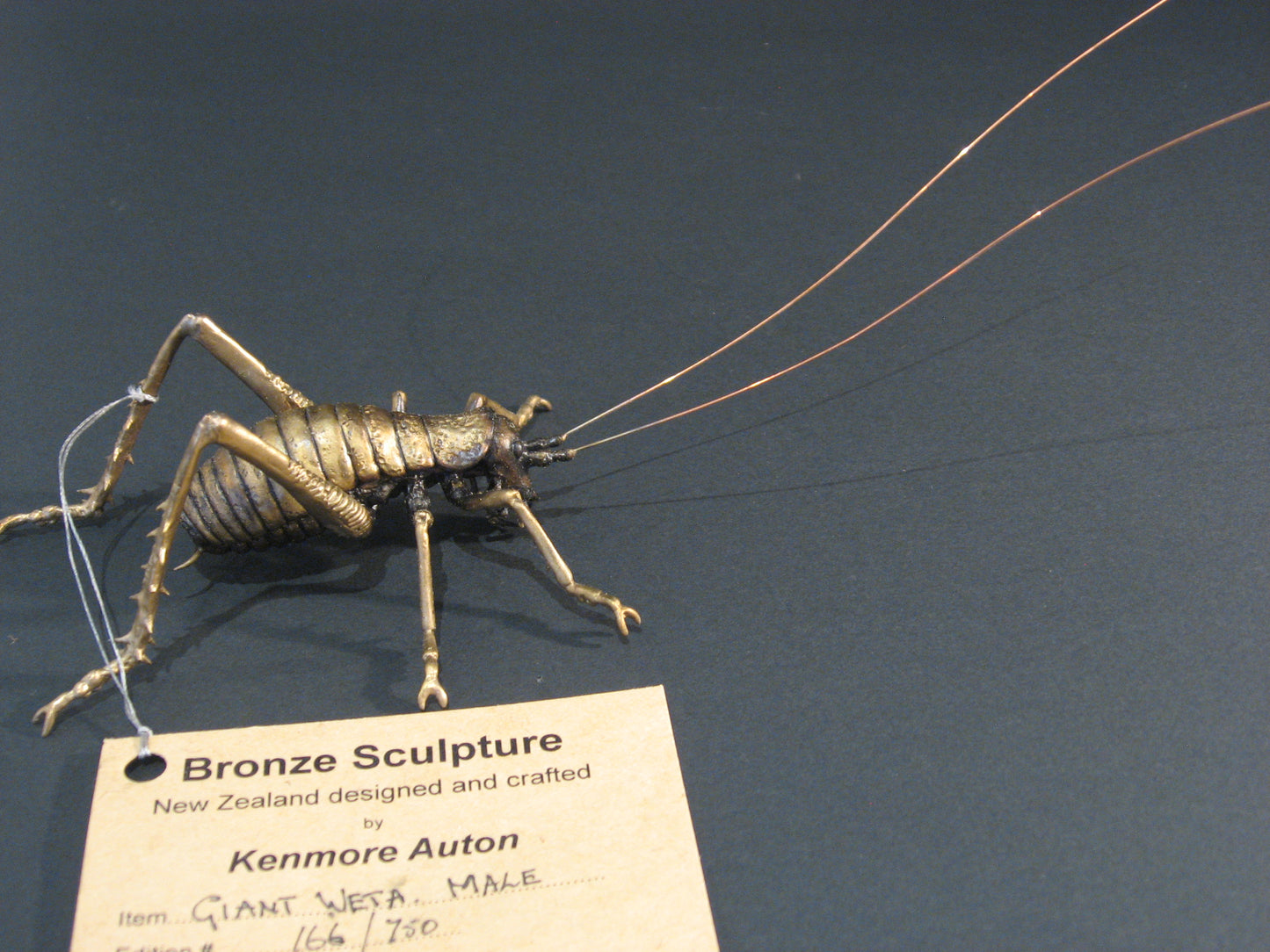 Bronze Sculpture New Zealand Native Giant Weta by Kenmore Auton Silver Fern Gallery
