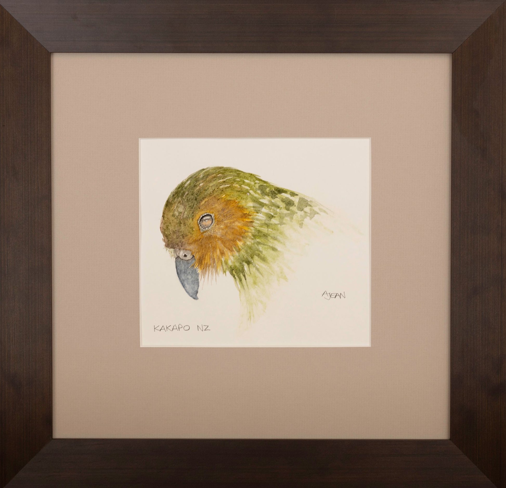 Watercolour Painting New Zealand Kakapo Bird by artist Avril Jean Silver Fern Gallery