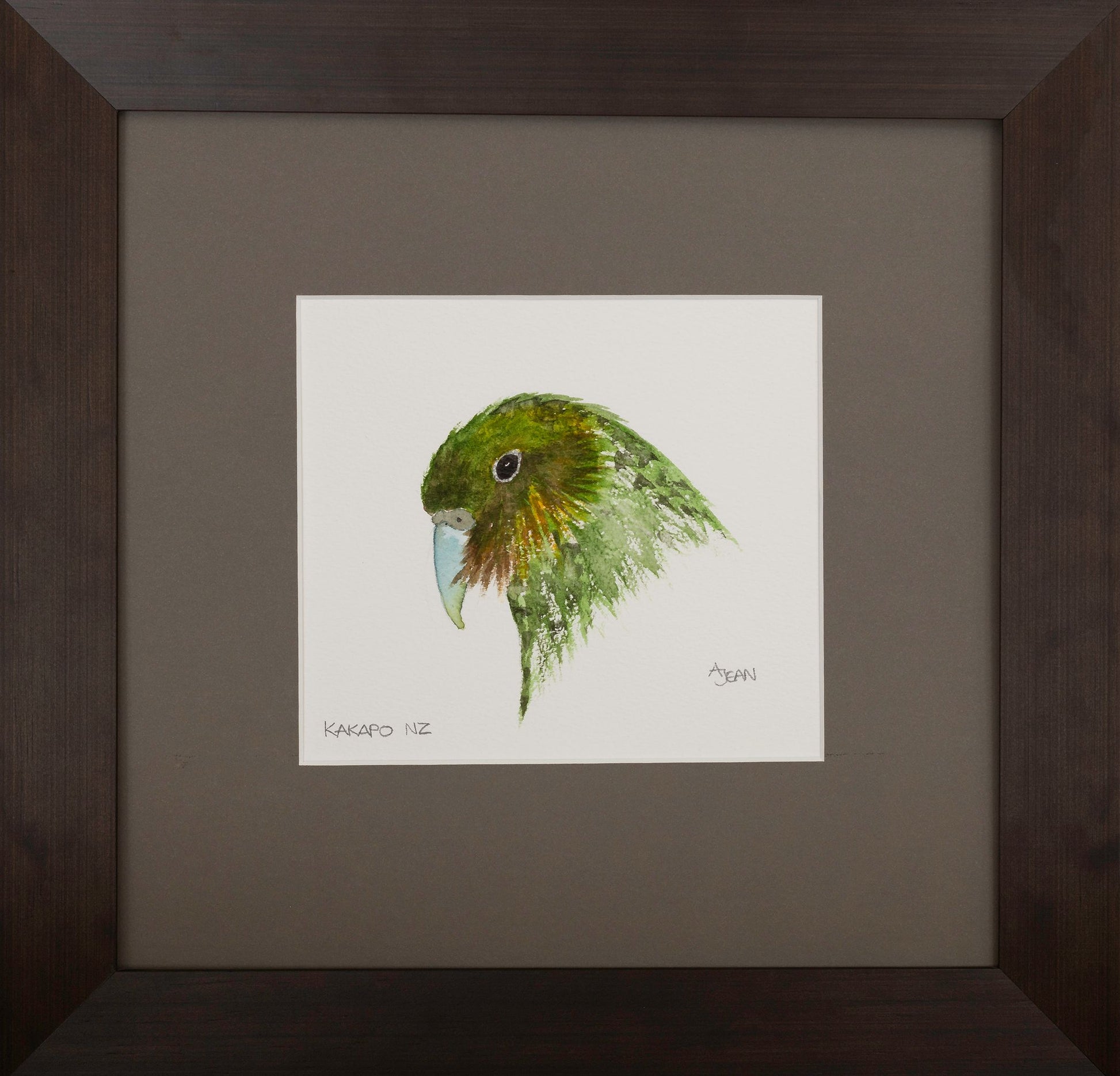 Watercolour Painting by Avril Jean New Zealand Kakapo Bird Silver Fern Gallery