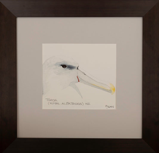 Watercolour Painting Toroa Royal Albatross by artist Avril Jean Silver Fern Gallery