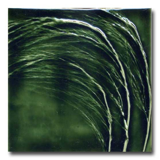 Ceramic Tile by Porteous Tiles of New Zealand Silver Fern Gallery