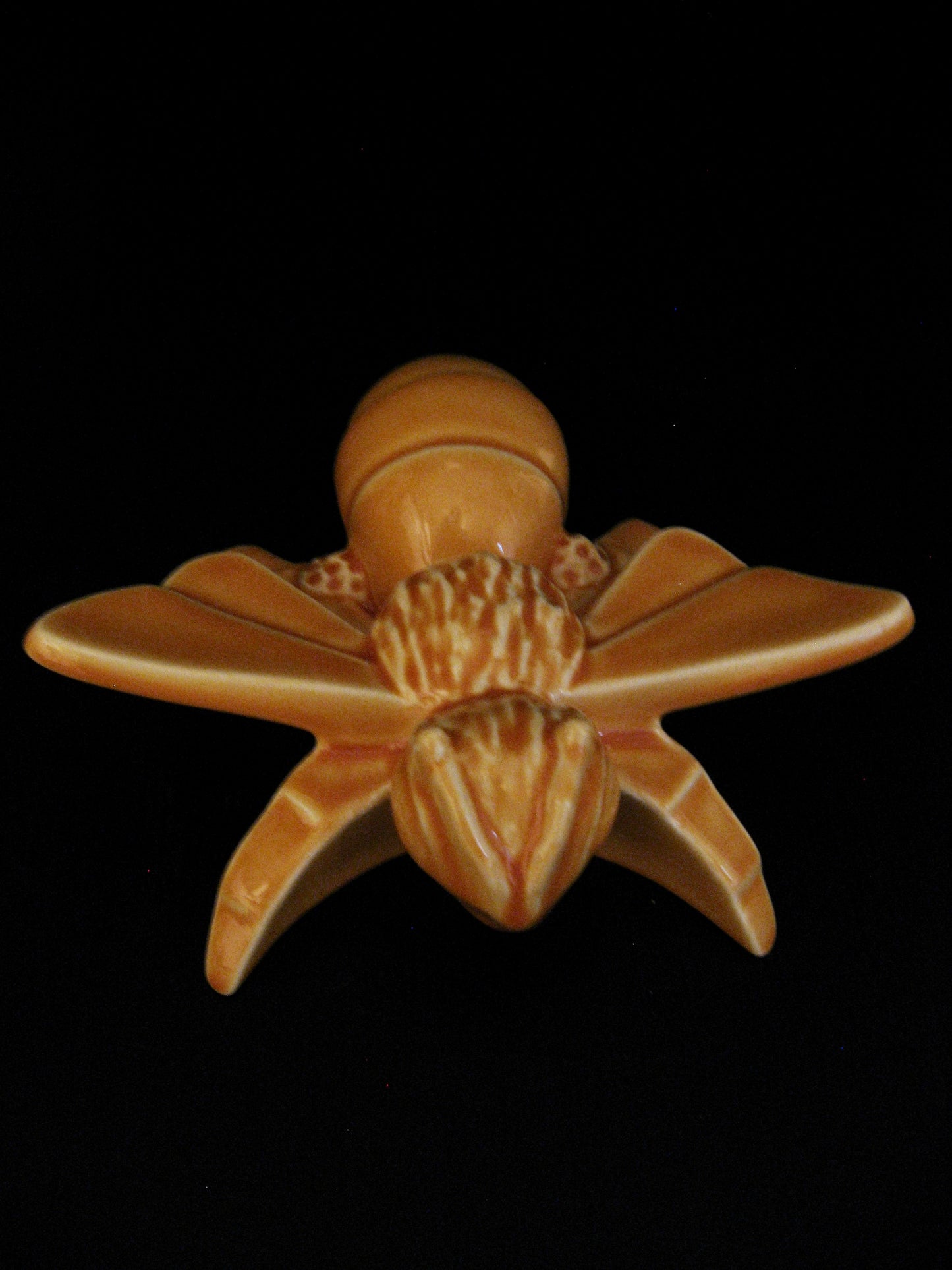 Front view of Ceramic Honey Bee Wall Art by Bob Steiner Silver Fern Gallery