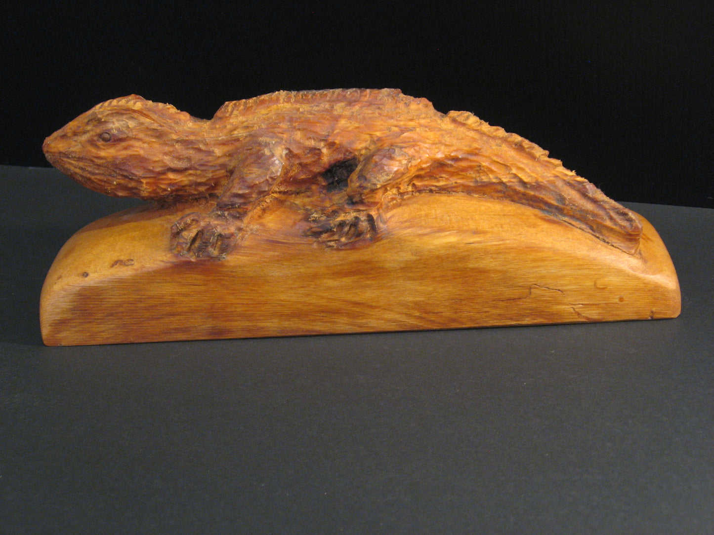 Handcarved NZ Native Tuatara by Andrew Lyons Silver fern Gallery