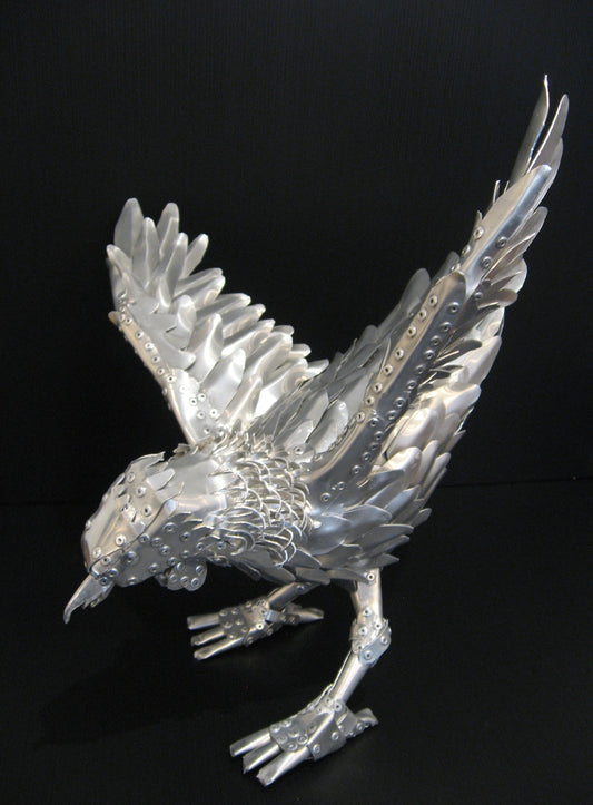 Aluminium  New Zealand Tui Bird Sculpture by Harley Moore Silver Fern Gallery