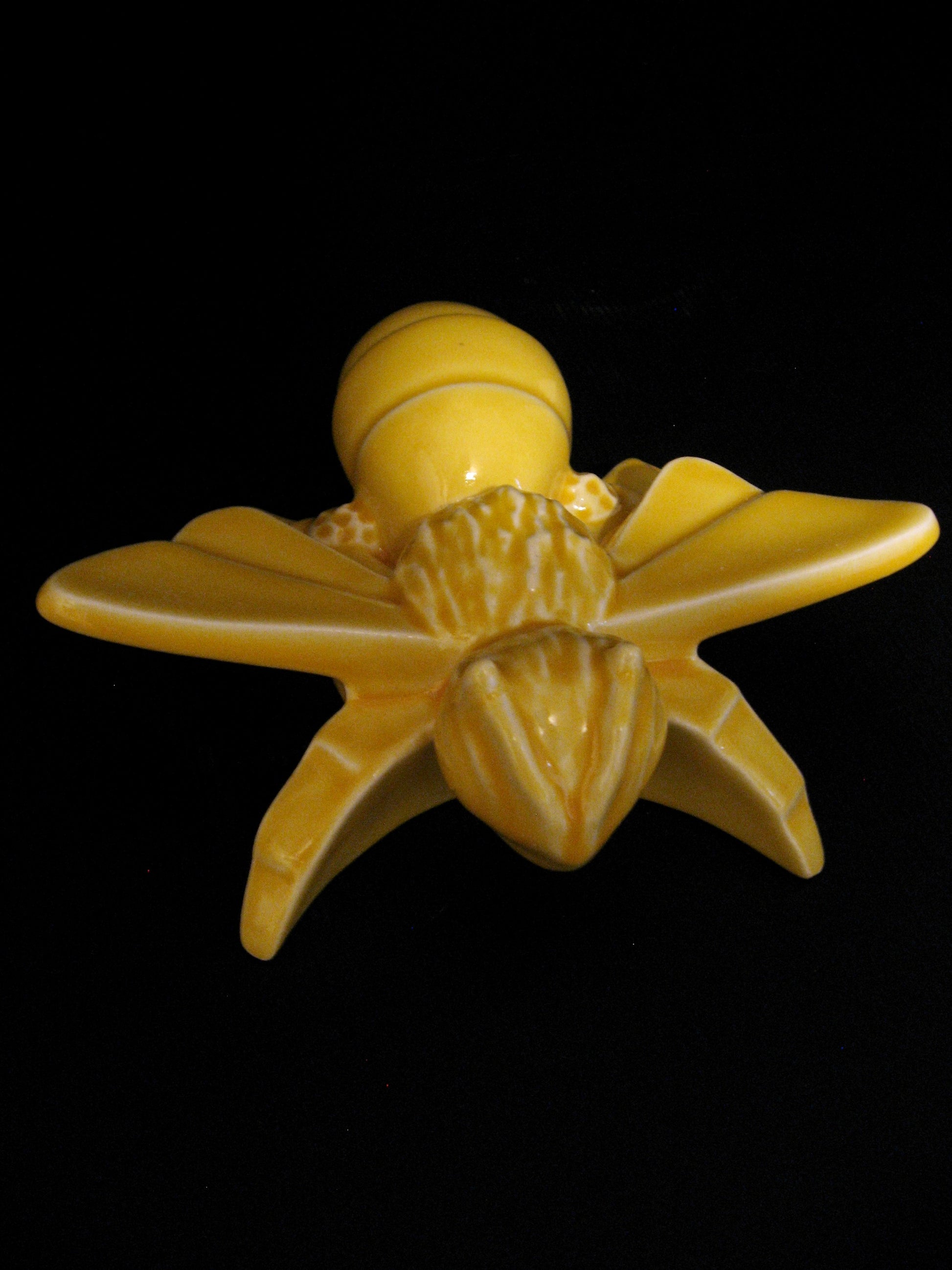 Front view of Ceramic Honey Bee by Bob Steiner Silver Fern Gallery