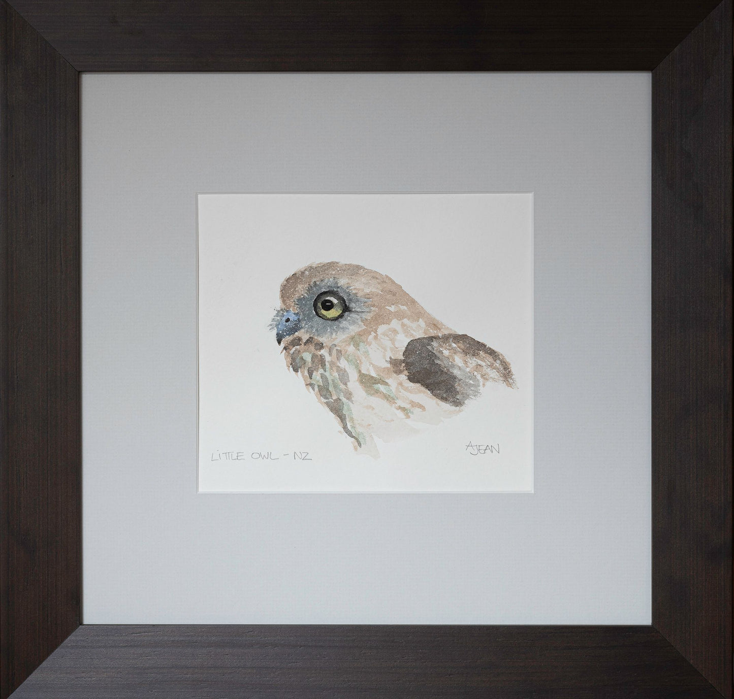 Watercolour Painting by artist Avril Jean New Zealand Little Owl Bird Silver Fern Gallery